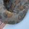 WSS Casquette à visière camouflage' Platane' 