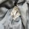 WSS Veste Mdle 1941 Officier Artillerie Drap rude Feldgrau 