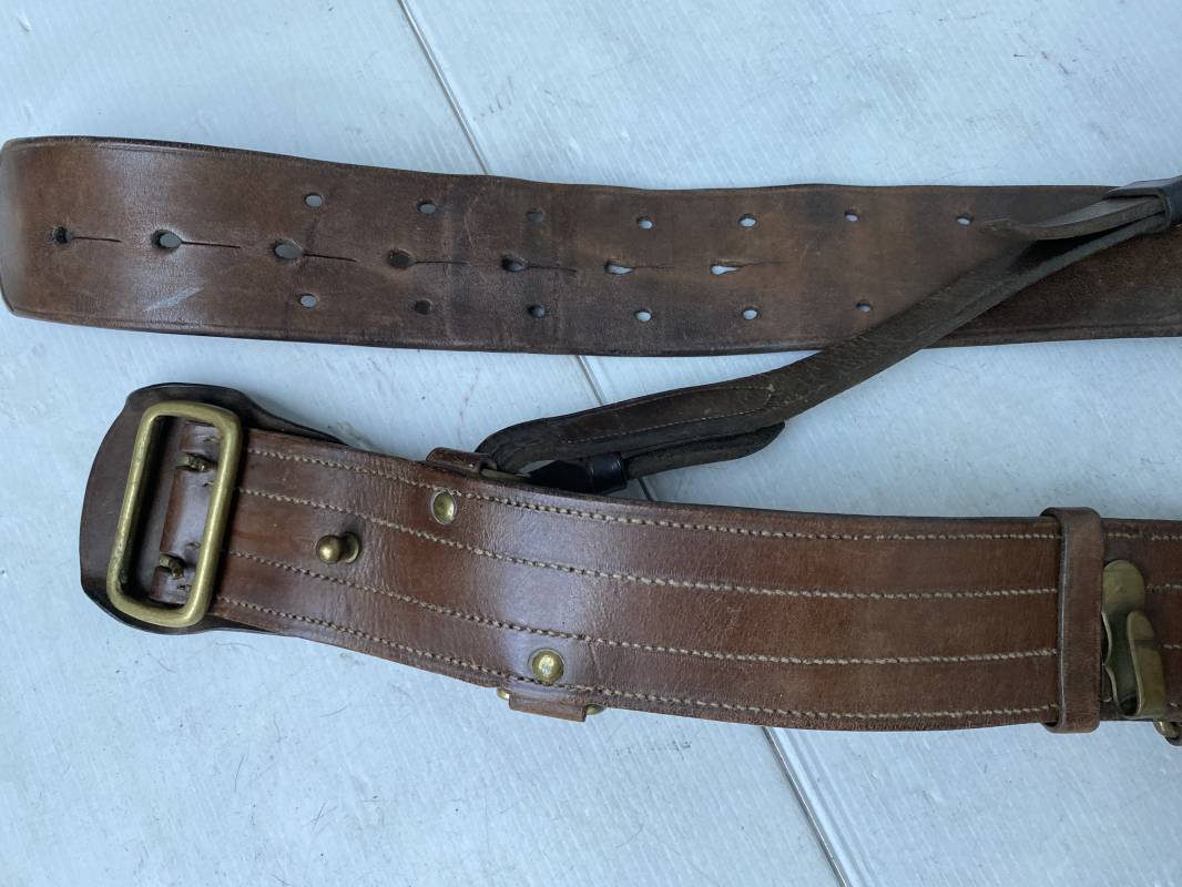 Licou Showman En Nylon Et Cuir – Marron/Teal/Jaune – Taille Adulte